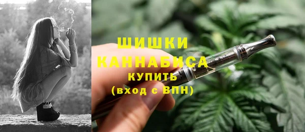 СК Новозыбков