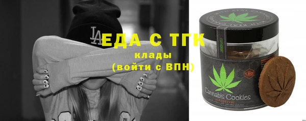 СК Новозыбков