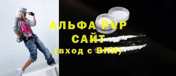 СК Новозыбков