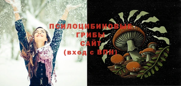 таблы Новодвинск
