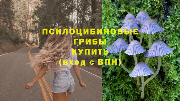 СК Новозыбков