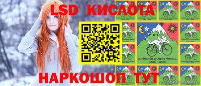 стаф Краснодар