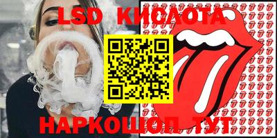 стаф Краснодар