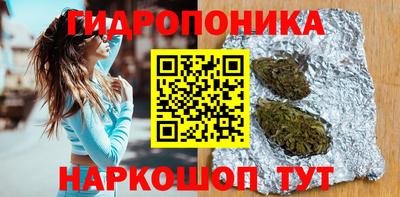 шишки Нальчик