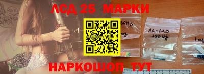 стаф Краснодар
