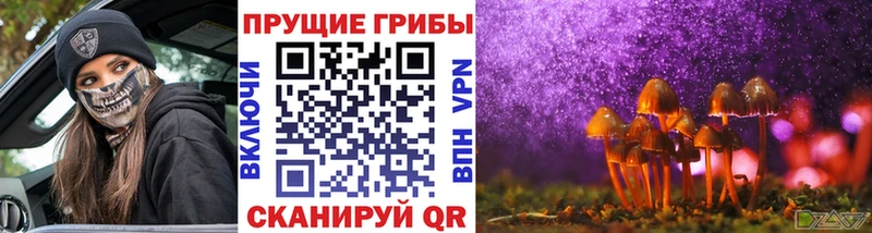 Галлюциногенные грибы Cubensis  хочу   Мирный 