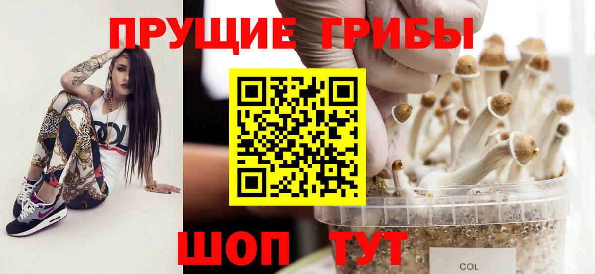 Псилоцибиновые грибы ЛСД  Мирный  где найти наркотики  Псилоцибиновые грибы мицелий 