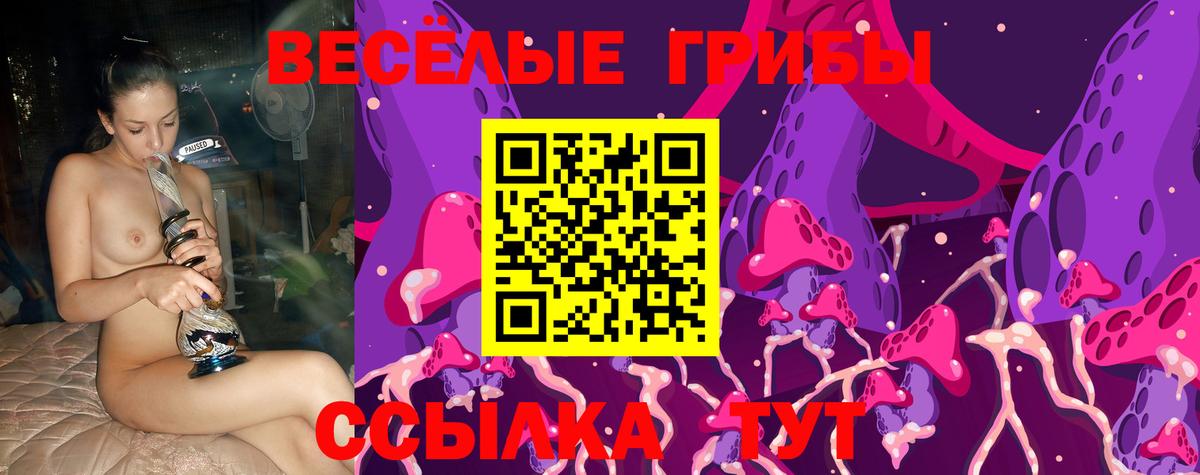 Псилоцибиновые грибы мицелий Мирный