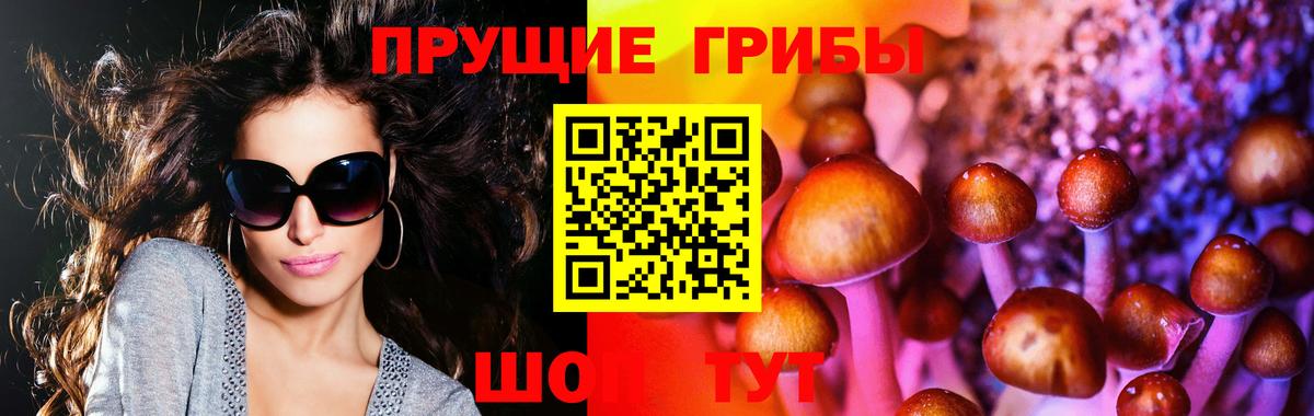 Псилоцибиновые грибы Magic Shrooms  Вход с VPN  Мирный 