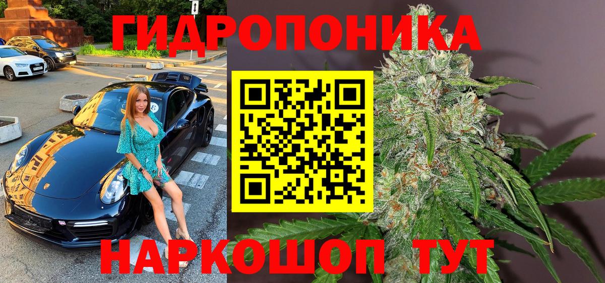 Бошки Шишки MAZAR  Вход с VPN  Бошки Шишки марихуана  Мирный  Шишки марихуана тримм  Канабис ГИДРОПОН 